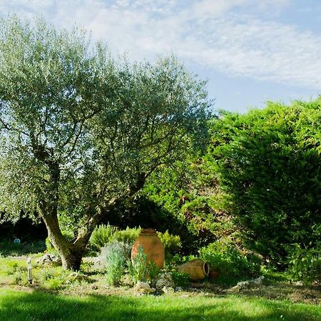 B&B Tina De Pacs, Close To Local Wineries Pacs del Penedes Eksteriør bilde