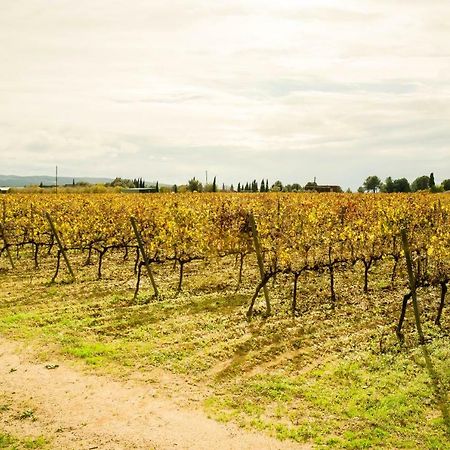 B&B Tina De Pacs, Close To Local Wineries Pacs del Penedes Eksteriør bilde