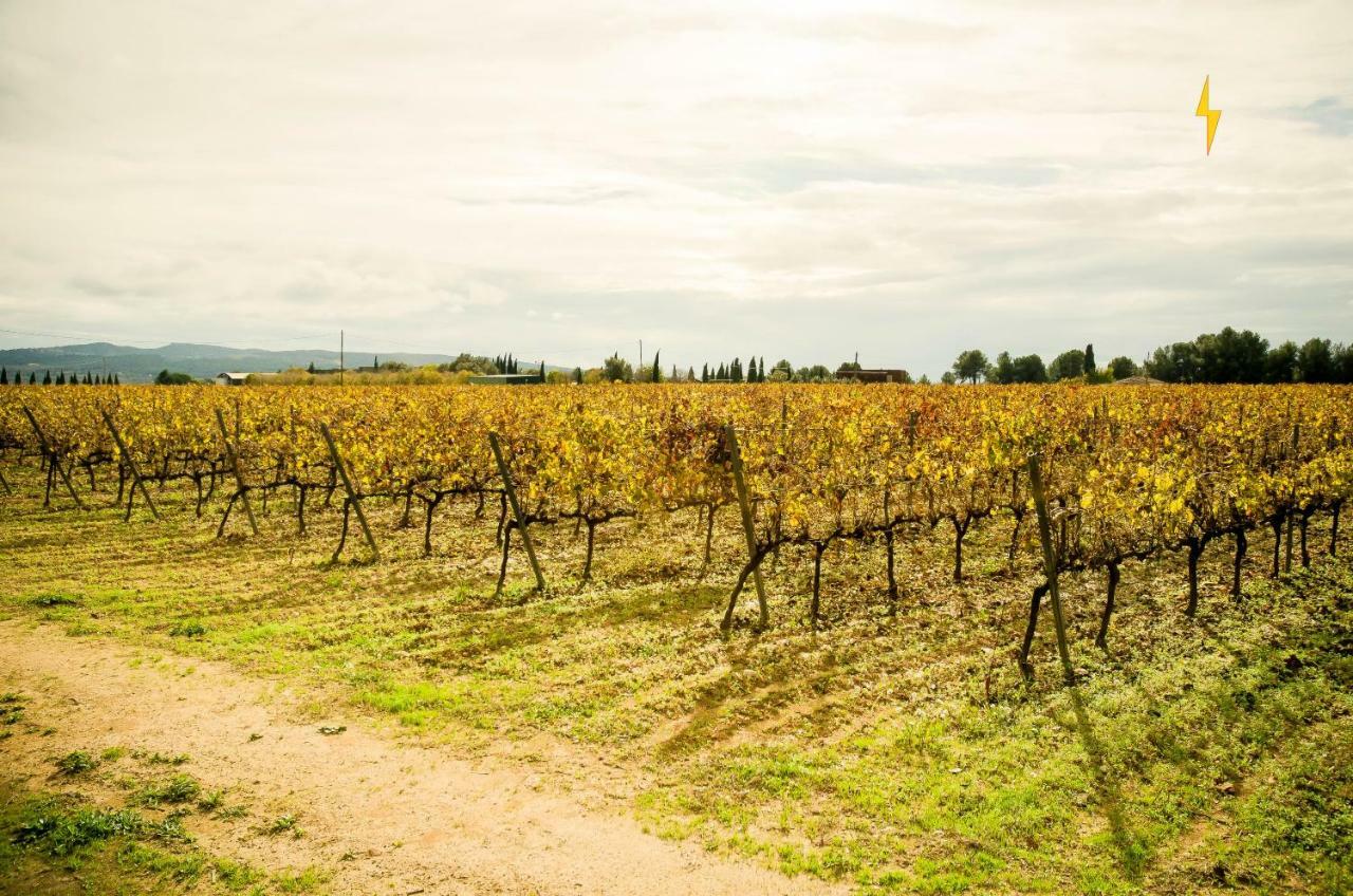 B&B Tina De Pacs, Close To Local Wineries Pacs del Penedes Eksteriør bilde